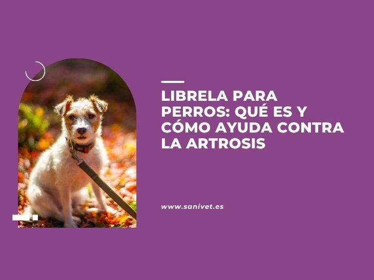 Librela