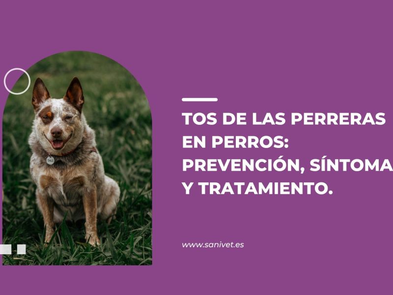 tos de las perreras