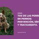 tos de las perreras