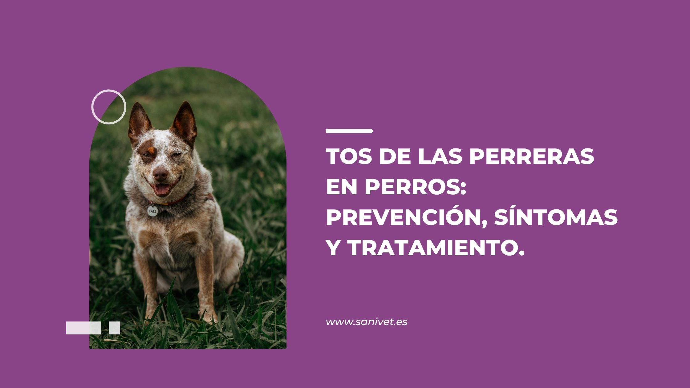 tos de las perreras